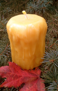 Rustic Pillar candle in 100% Ontario Beeswax
